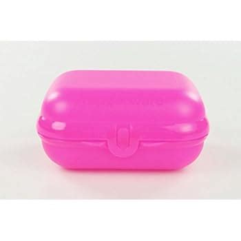 snacky tupperware|Tupperware To Go Snacky Pink + Twin Lunch Box Small (Size 2)。